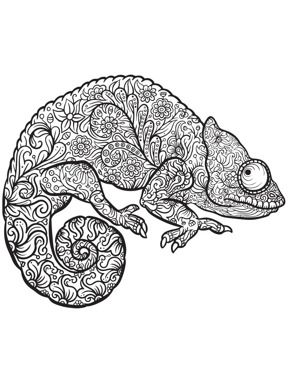 Packs of 30 Iguana themed coloring pages | Etsy