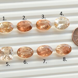 May include: Eight oval-shaped and one square-shaped gemstones in various shades of brown and orange. The gemstones are arranged in two rows of four and one. A penny is included for scale.