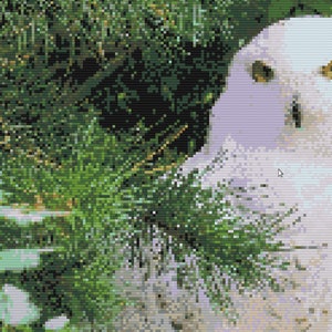 Owl Cross Stitch Pattern Printable Owl PDF Pattern Color and - Etsy