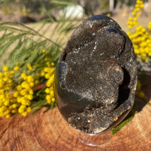 May include: A black geode crystal egg with a rough, textured exterior and a sparkling, crystalline interior. The egg is displayed on a clear stand.