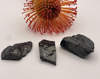 May include: Three pieces of raw, black tourmaline crystals are displayed on a white surface, with a vibrant orange and red protea flower in the background. The crystals have a rough, textured appearance.