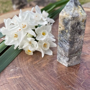 Dendritic opal generator