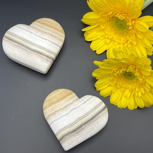 Zebra Calcite hearts
