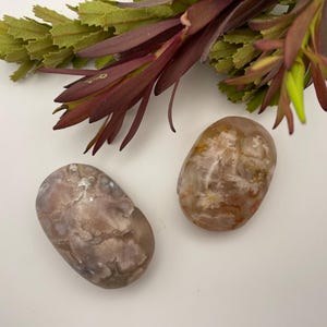 Flower Agate palm stones