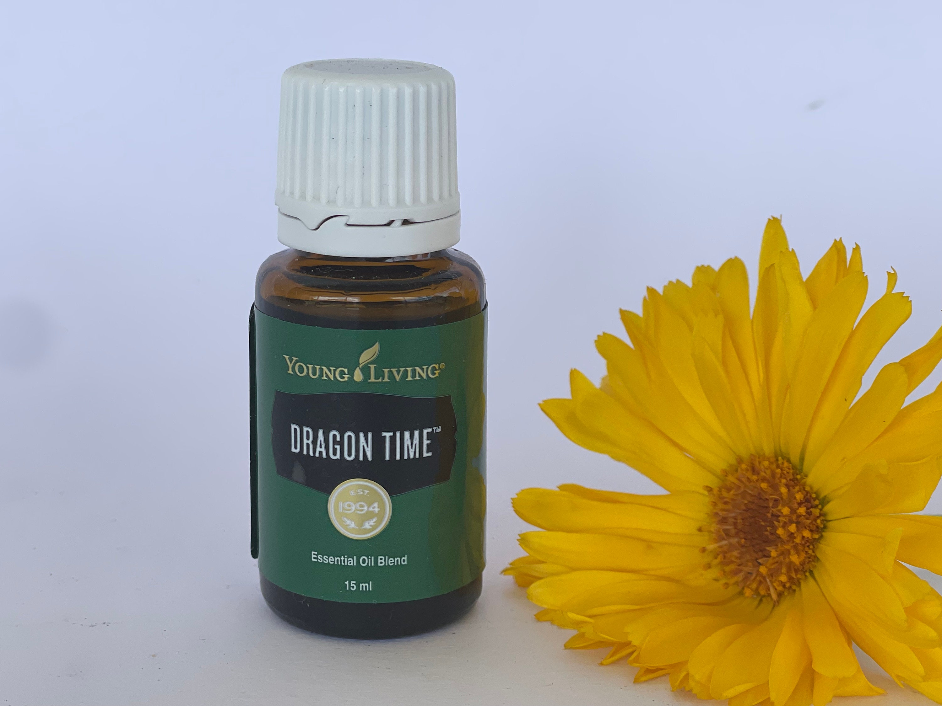 Dragon Time - Etsy