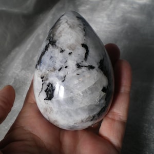 May include: A white and black egg-shaped crystal with a smooth, polished surface. The crystal has a swirling pattern of black and white.