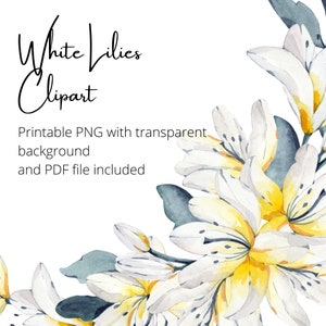 Lily, White Lily Floral Clipart, Lily Florals, Printable Card or
