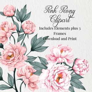 Peony Clipart, Pink Peonies, Floral Clipart, Wedding Graphics, Decorative Florals for Scrapbooking Stickers