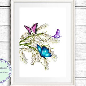 Butterfly Print, Colorful butterfly print, Butterfly Art Print, Digital Wall Art