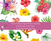 Hibiscus clipart Hibiscus tropical flowers, hibiscus floral clipart Printable Stickers