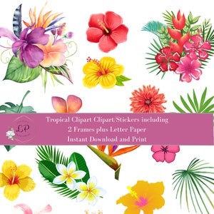 Hibiscus clipart Hibiscus tropical flowers, hibiscus floral clipart Printable Stickers