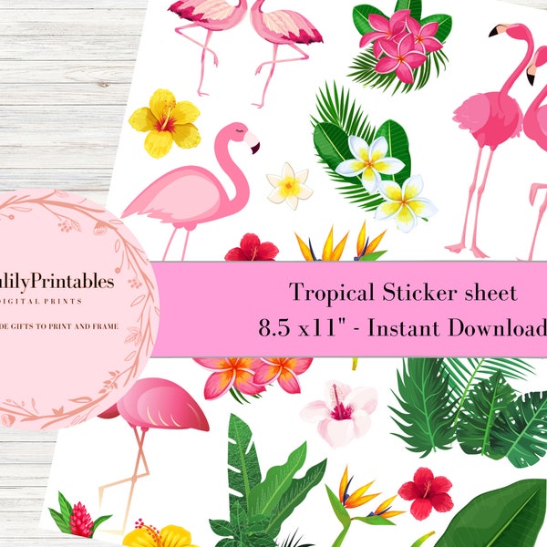 Flamingo Printable - Etsy