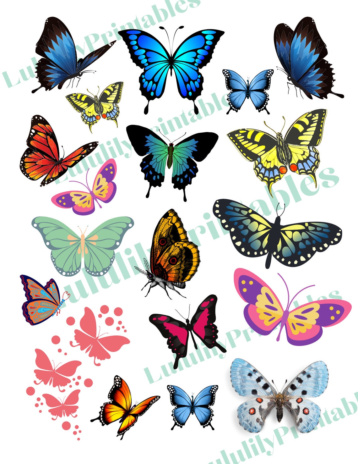 Butterfly Clip Art Butterfly Illustrations Scrapbook Paper | Etsy
