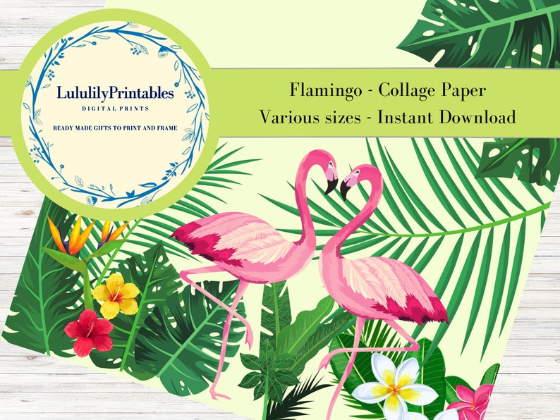 Flamingo Digital Paper Printable Flamingo Collage Paper in 3 Sizes Use