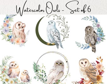 Floral Owl Clipart Set, Watercolor Wildlife Art, Bird Clipart (PNG, JPG Downloadable Files)