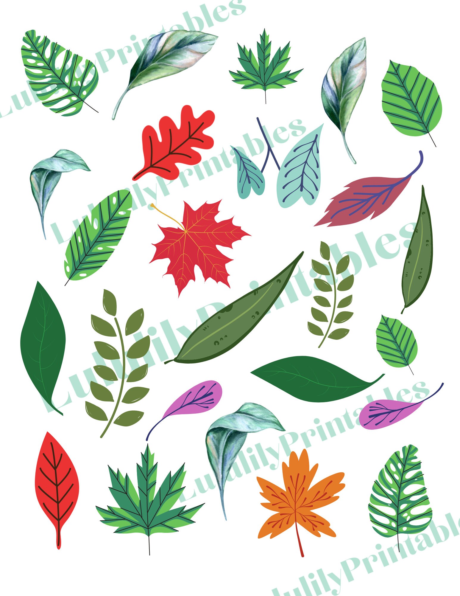 Leaf Stickers Fall Colors Botanical Printable Clipart - Etsy