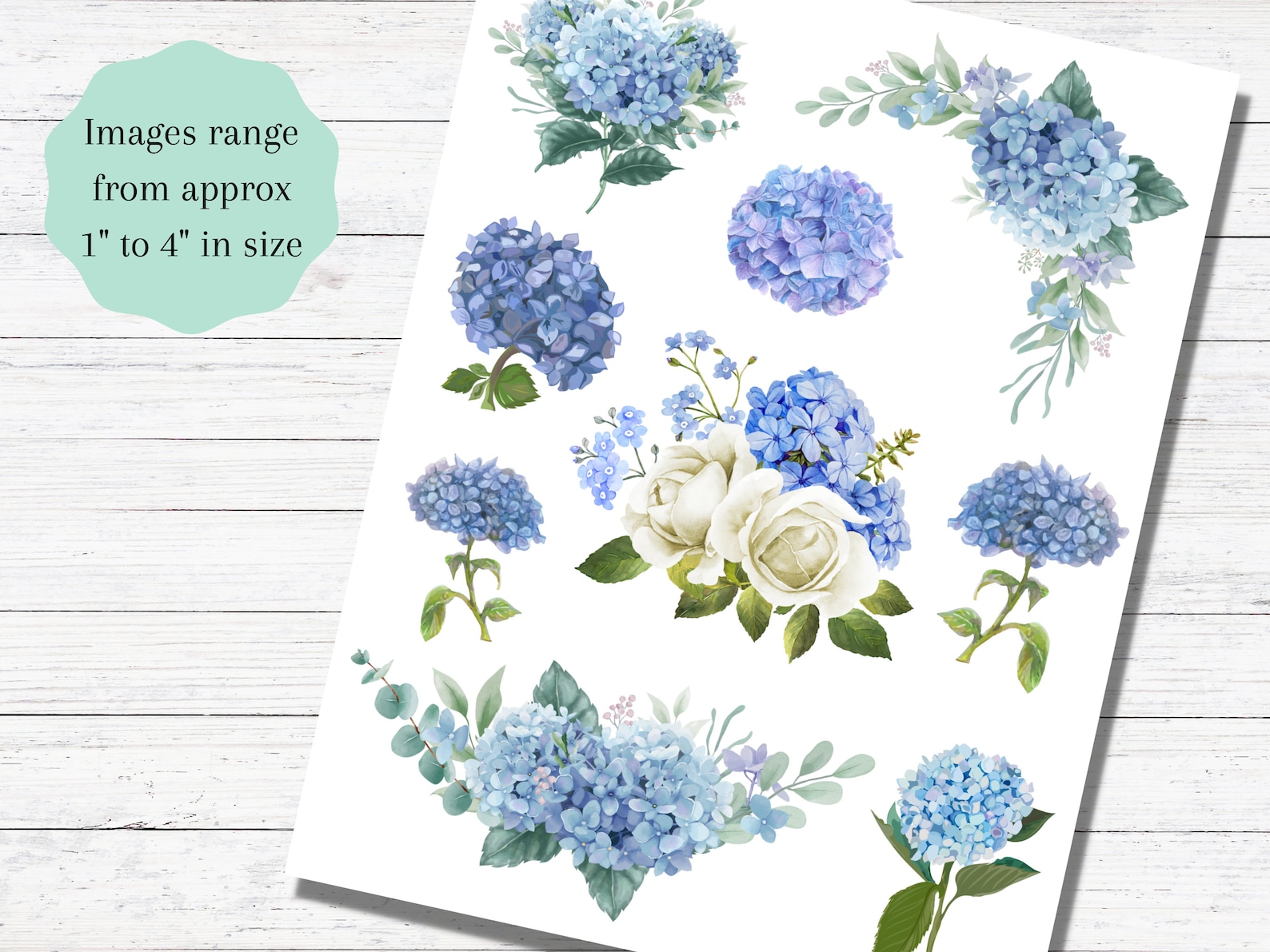 Blue Hydrangeas Hydrangea Clipart Hydrangea Printables Floral - Etsy