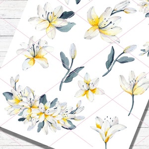 Lily, White Lily Floral Clipart, Lily Florals, Printable Card or