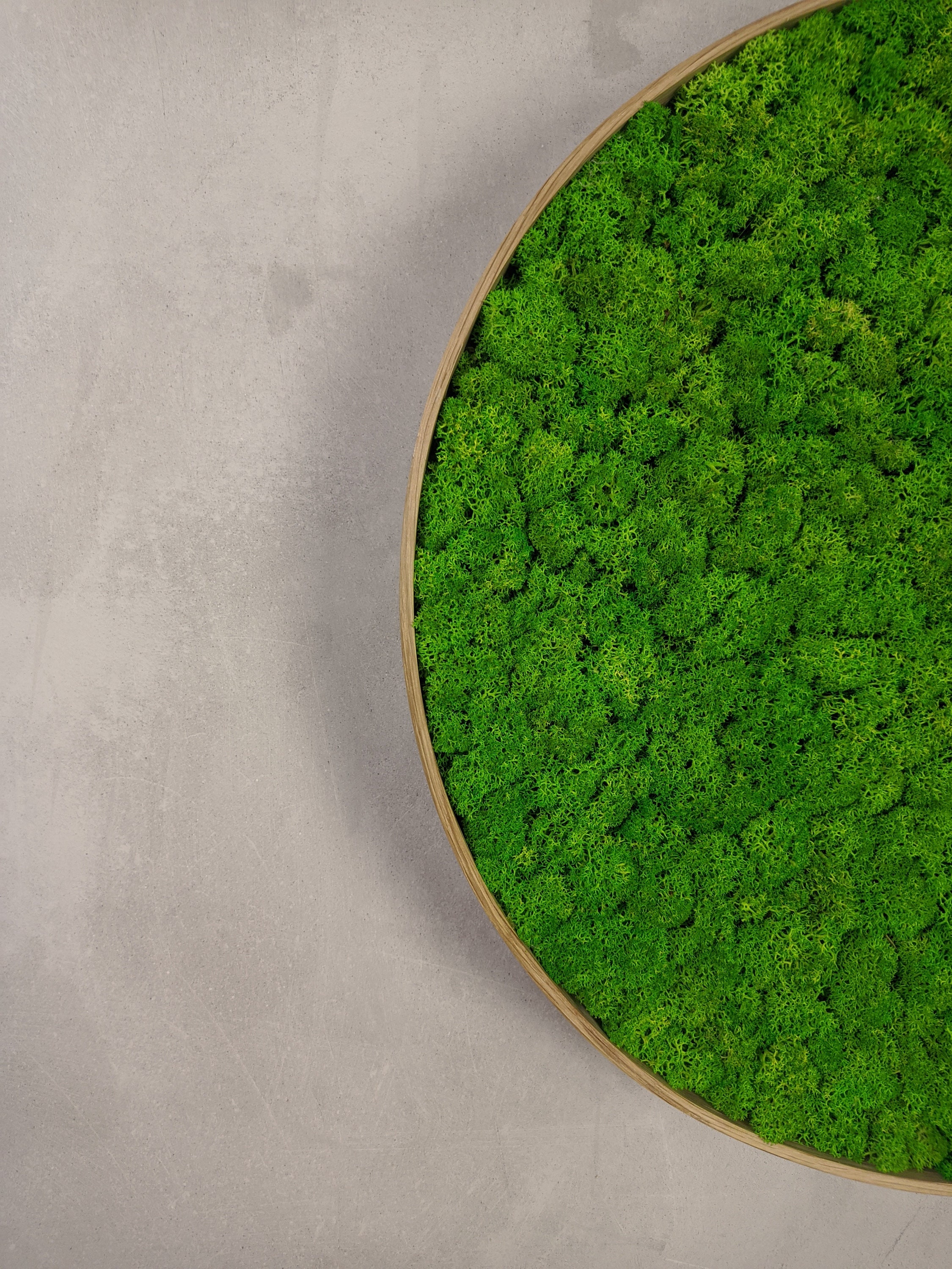 Moss Wall Decor Set of 3 Round Moss Mirror and Moss Circles Etsy UK