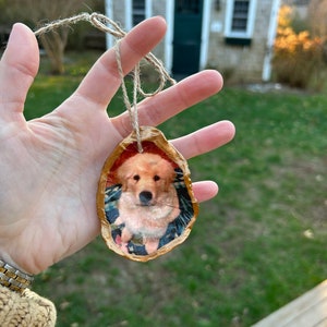 Custom Oyster Shell Ornament