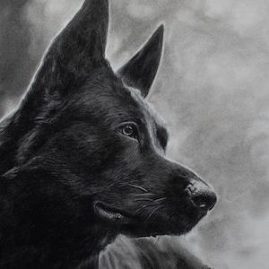 Custom Graphite Pet Portrait, Pencil Drawing, realism, animal art, personalized commission