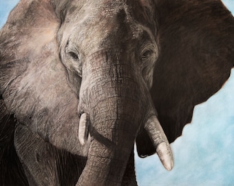 African Elephant Print, Pastel, Animal Drawing, Fine Art, Africa, Giclee Print 32x22”