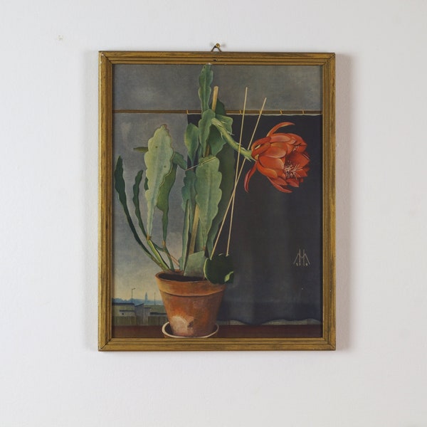 Kunstdruck „Stillleben mit blühendem Kaktus (Epiphyllum) in einem Blumentopf am Fenster“ vom Künstlers Manfred Hirzel aus den 1930er Jahren