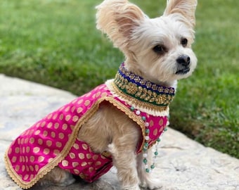 tenue indienne de chien, kurta de chien, colliers de chien, tenue d'animal familier, costume d'animal familier, broderie de main, indien, mignon, tenues indiennes de chien, sherwani, kurtas