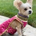 see more listings in the Pet clothing section