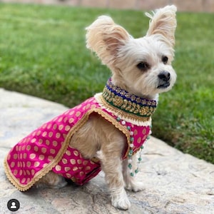 dog indian outfit, dog kurta, dog collars, pet outfit, pet costume, hand embroidery, indian, cute, indian dog outfits, sherwani, kurtas image 1