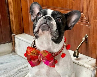 dog collar, bow tie, indian collar, pet collar, indian outfit, dog outfit, bow tie, pet accessory, luxury