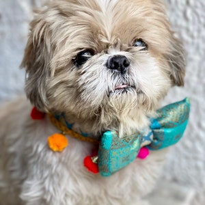 collier de chien, nœud papillon, collier indien, collier pour animal de compagnie, tenue indienne, tenue de chien, nœud papillon, accessoire pour animal de compagnie, luxe image 6