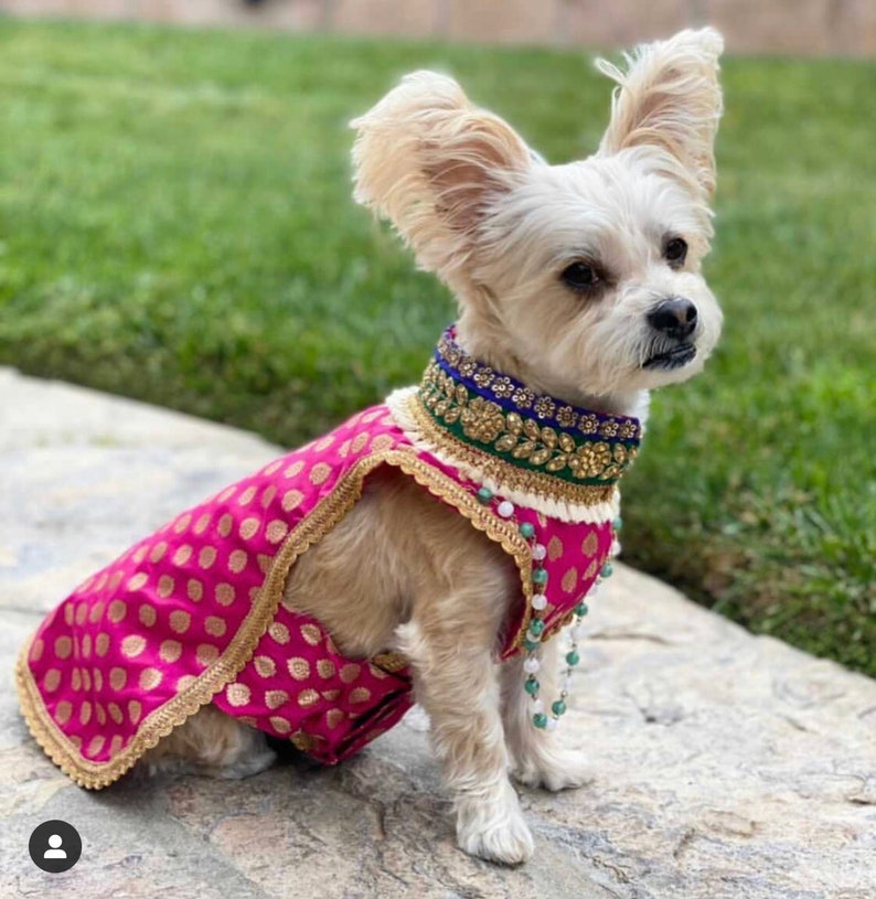 dog indian outfit, dog kurta, dog collars, pet outfit, pet costume, hand embroidery, indian, cute, indian dog outfits, sherwani, kurtas image 1