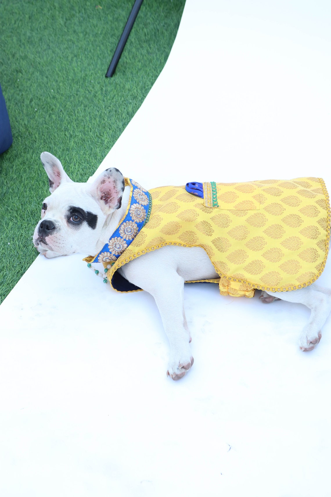 Pet Outfits for weddings/ Sherwanis / desi outfits for pets Etsy