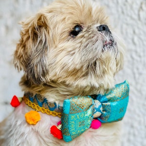 collier de chien, nœud papillon, collier indien, collier pour animal de compagnie, tenue indienne, tenue de chien, nœud papillon, accessoire pour animal de compagnie, luxe image 5