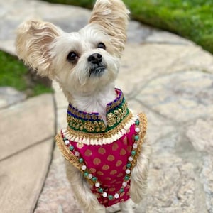 dog indian outfit, dog kurta, dog collars, pet outfit, pet costume, hand embroidery, indian, cute, indian dog outfits, sherwani, kurtas image 2