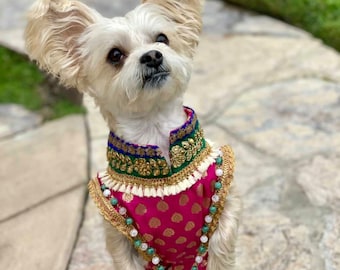 Buy Dog Indian Outfit, Dog Kurta, Dog Collars, Pet Outfit, Pet