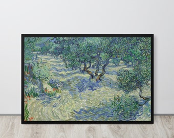 Vincent van Gogh - Olivengarten (1889) - Fine Art Print