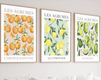 May include: Three framed prints with a white background and the text "Les Agrumes" at the top. The prints feature illustrations of citrus fruits, including oranges, lemons, and limes. The text below each print identifies the specific fruit: "L'Orange Sanguine", "Le Citronnier", and "Le Tilleul".