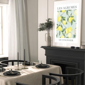 May include: A black and white illustration of lemons on a branch with the text "LES AGRUMES LE CITRONNIER" on a light blue background. The illustration is framed and hanging on a wall above a black fireplace.