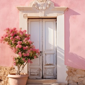 May include: A white wooden door with a weathered finish is set into a pink wall. A pink flowering bush is in a terracotta pot in front of the door.