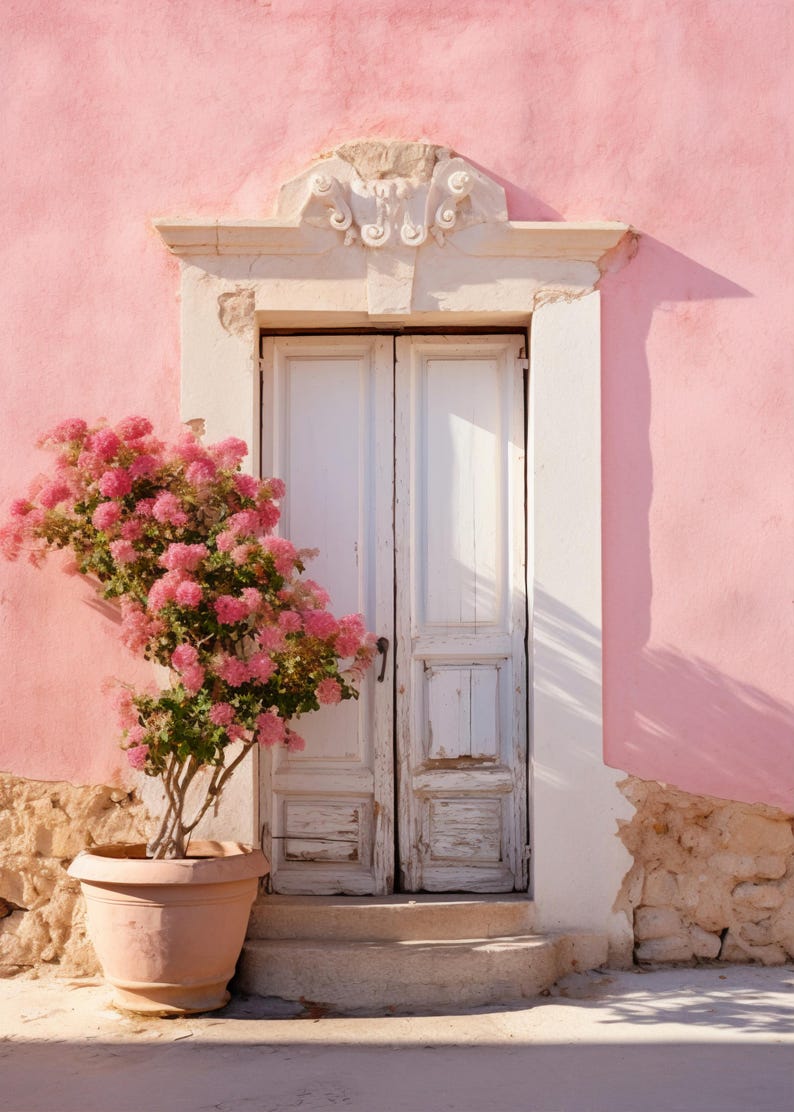 May include: A white wooden door with a weathered finish is set into a pink wall. A pink flowering bush is in a terracotta pot in front of the door.