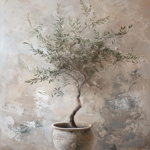 May include: A small olive tree with green leaves growing in a ceramic pot with a decorative design. The tree is against a light brown textured wall.