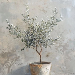 May include: A small olive tree with green leaves in a gray ceramic pot with a rough texture. The pot is sitting on a light gray surface.