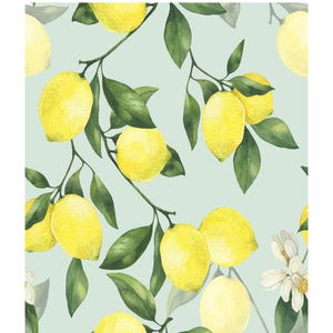 May include: A watercolor illustration of a lemon tree branch with yellow lemons and green leaves on a light blue background. The text "LES AGRUMES" is at the top of the image and "LE CITRONNIER" is at the bottom.