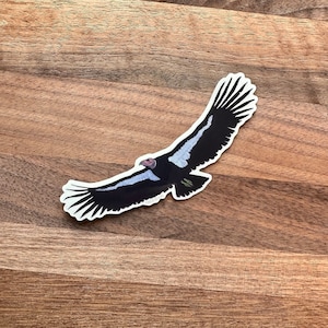 May include: A black and white sticker of a California Condor in flight. The condor has a white head and neck, and black wings and body.