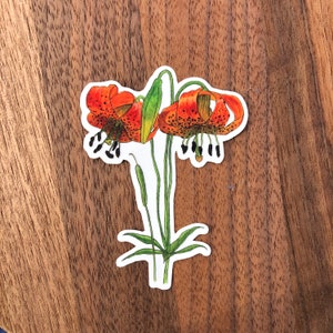 Autocolante Tiger Lily para garrafa de água, portátil, etc.!