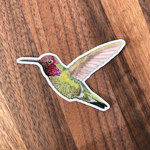 Autocollant colibri pour bouteille d'eau, ordinateur portable, etc. !