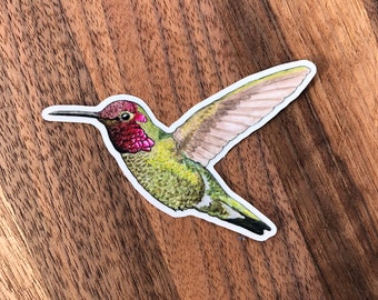 Hummingbird sticker for waterbottle, laptop, etc.!