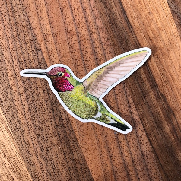 Hummingbird sticker for waterbottle, laptop, etc.!